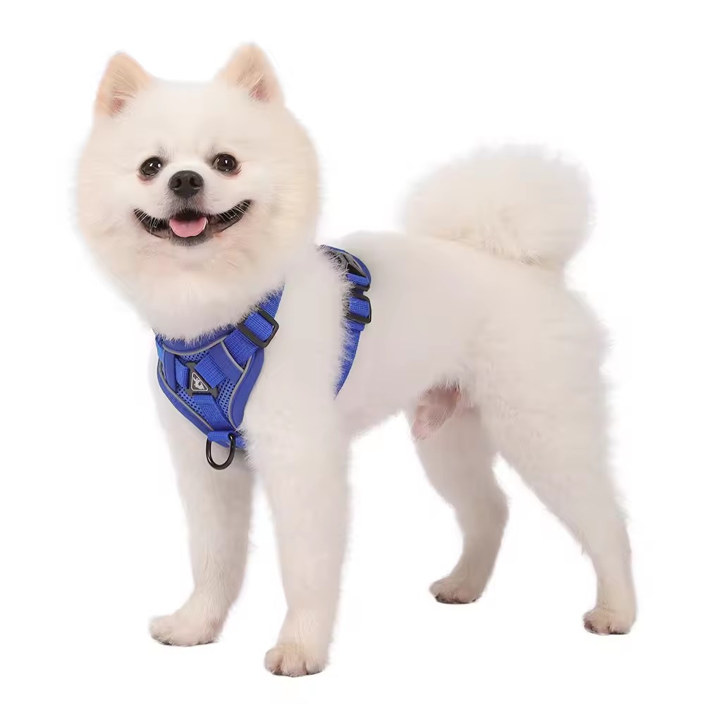 今年会·jinnian胸背